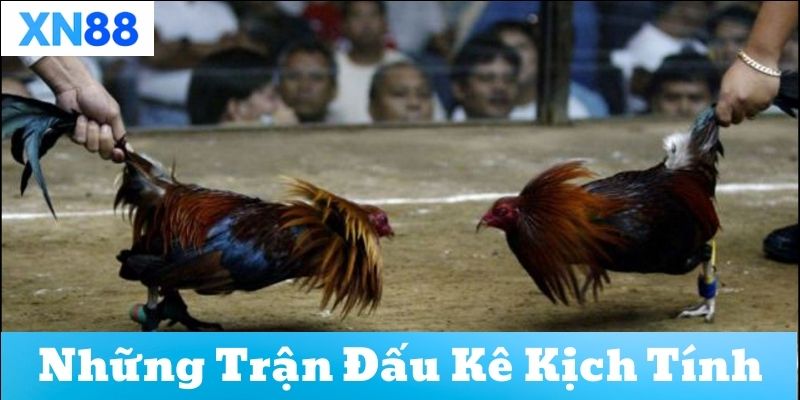 Những Trận Chiến kịch Tính