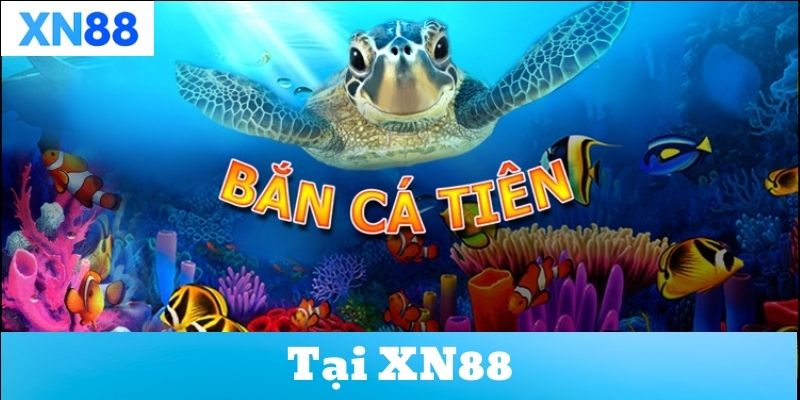 Hướng dẫn cách chơi Bắn Cá Tiên hiệu quả