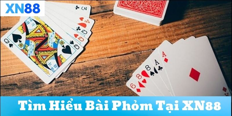 Thuật ngữ quan trọng trong Bài Phỏm