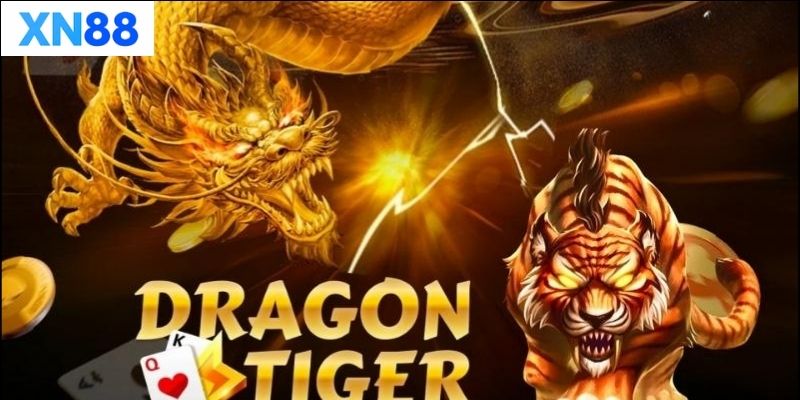 Các loại cửa cược trong Bài Rồng Hổ