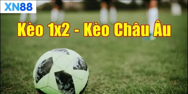 Tìm hiểu về kèo Châu Âu tại XN88