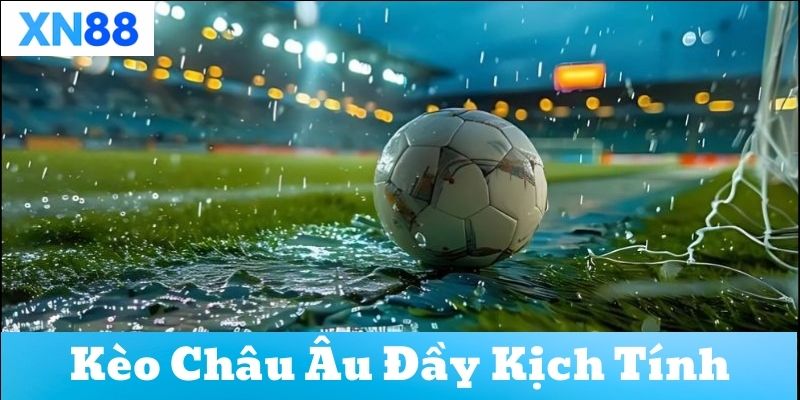 Những sai lầm thường gặp khi chơi kèo Châu Âu