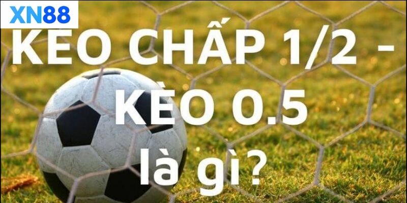 Chiến lược chơi kèo chấp 1/2 hiệu quả