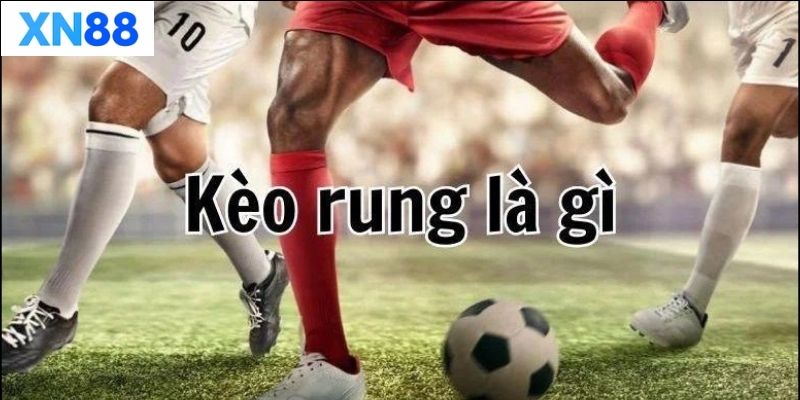 Kinh nghiệm bắt kèo rung hiệu quả